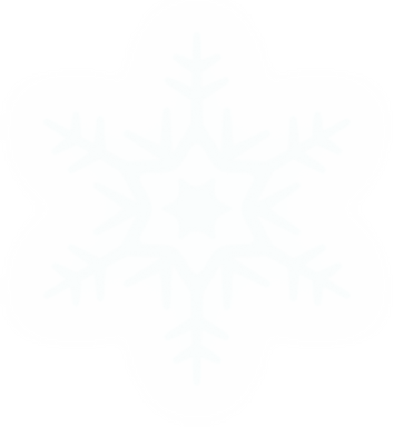 Winter Snowflake Illustration